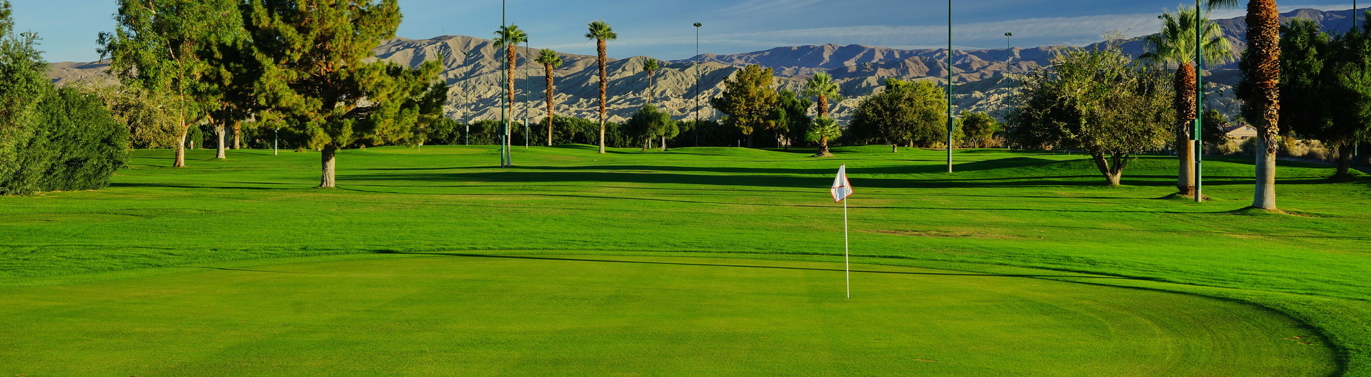 Lush green golf course with palm trees and mountains in the background under a clear sky.