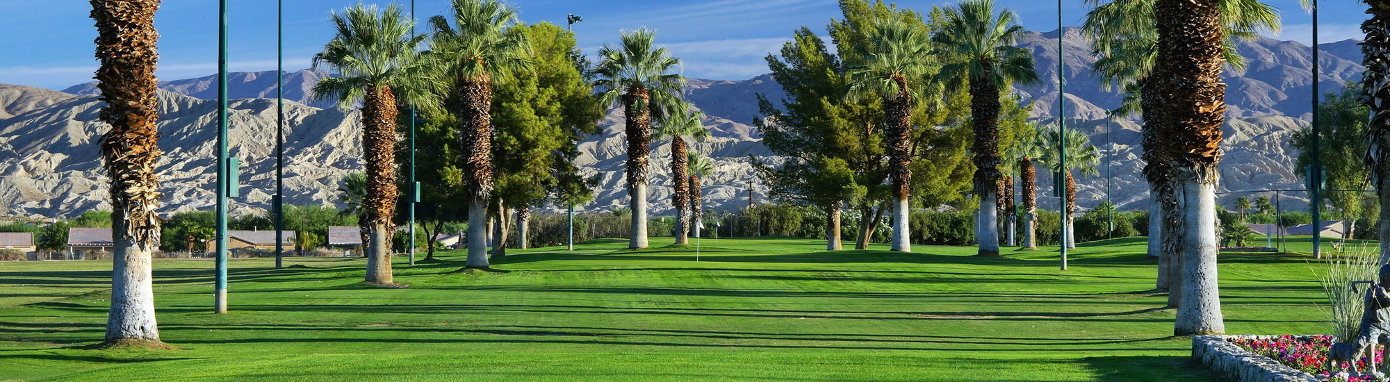 Lush green golf course lined with palm trees and mountains in the background under a clear blue sky.